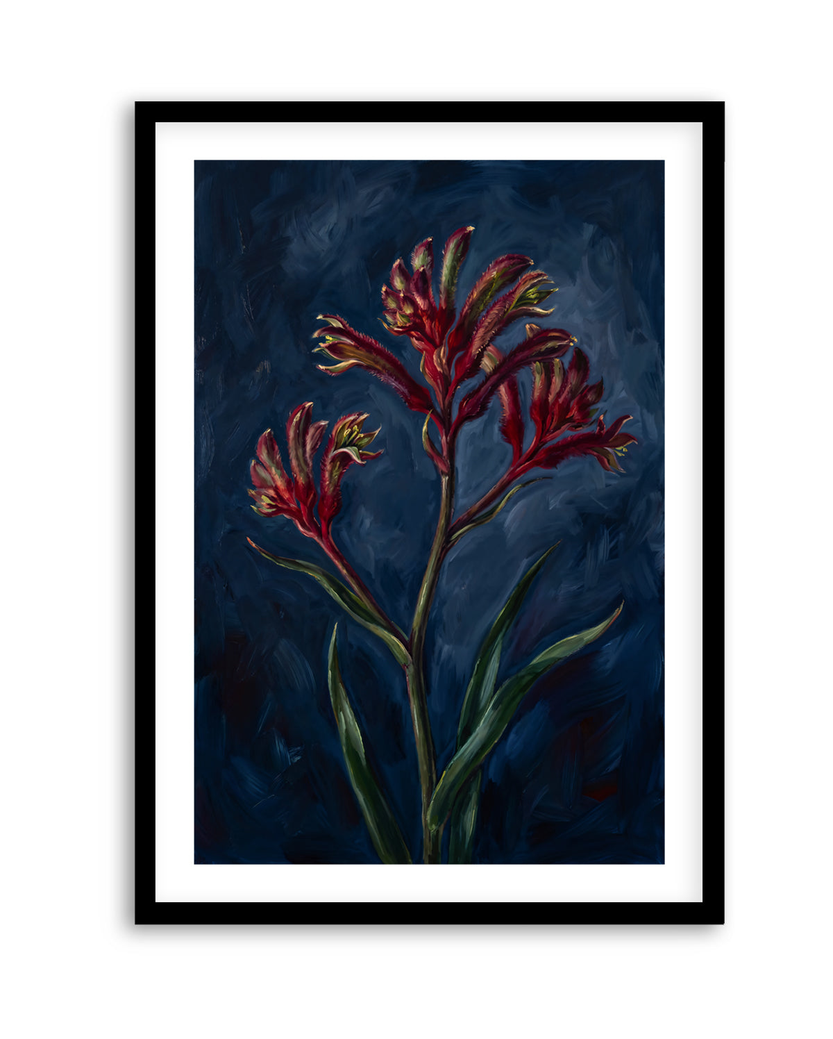 Kangaroo Paw I On Navy Botanicals Study | Art Print