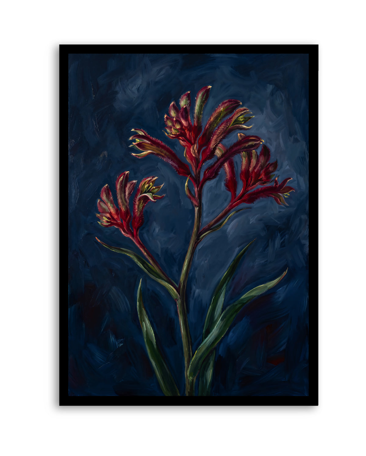 Kangaroo Paw I On Navy Botanicals Study | Art Print