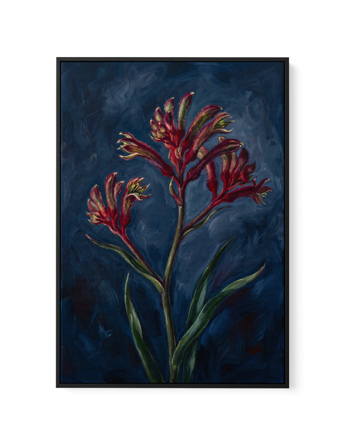 Kangaroo Paw I On Navy Botanicals Study | Framed Canvas Art Print
