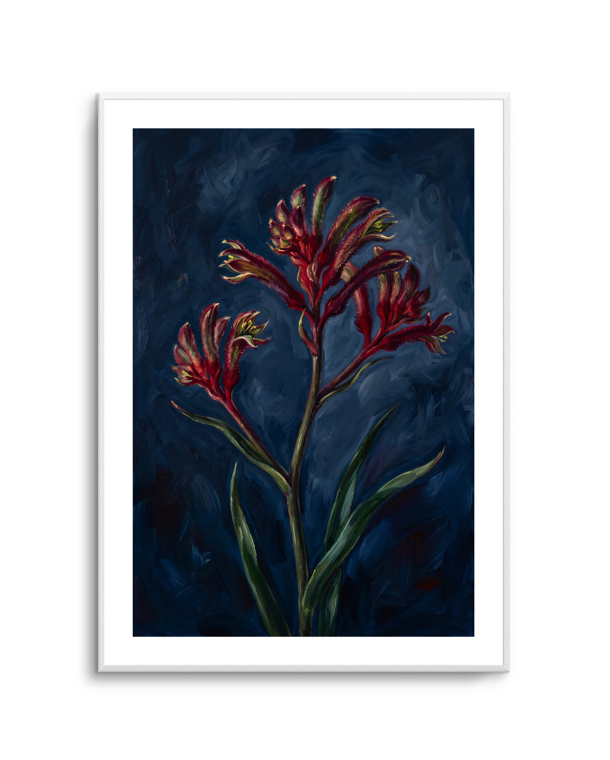 Kangaroo Paw I On Navy Botanicals Study | Art Print