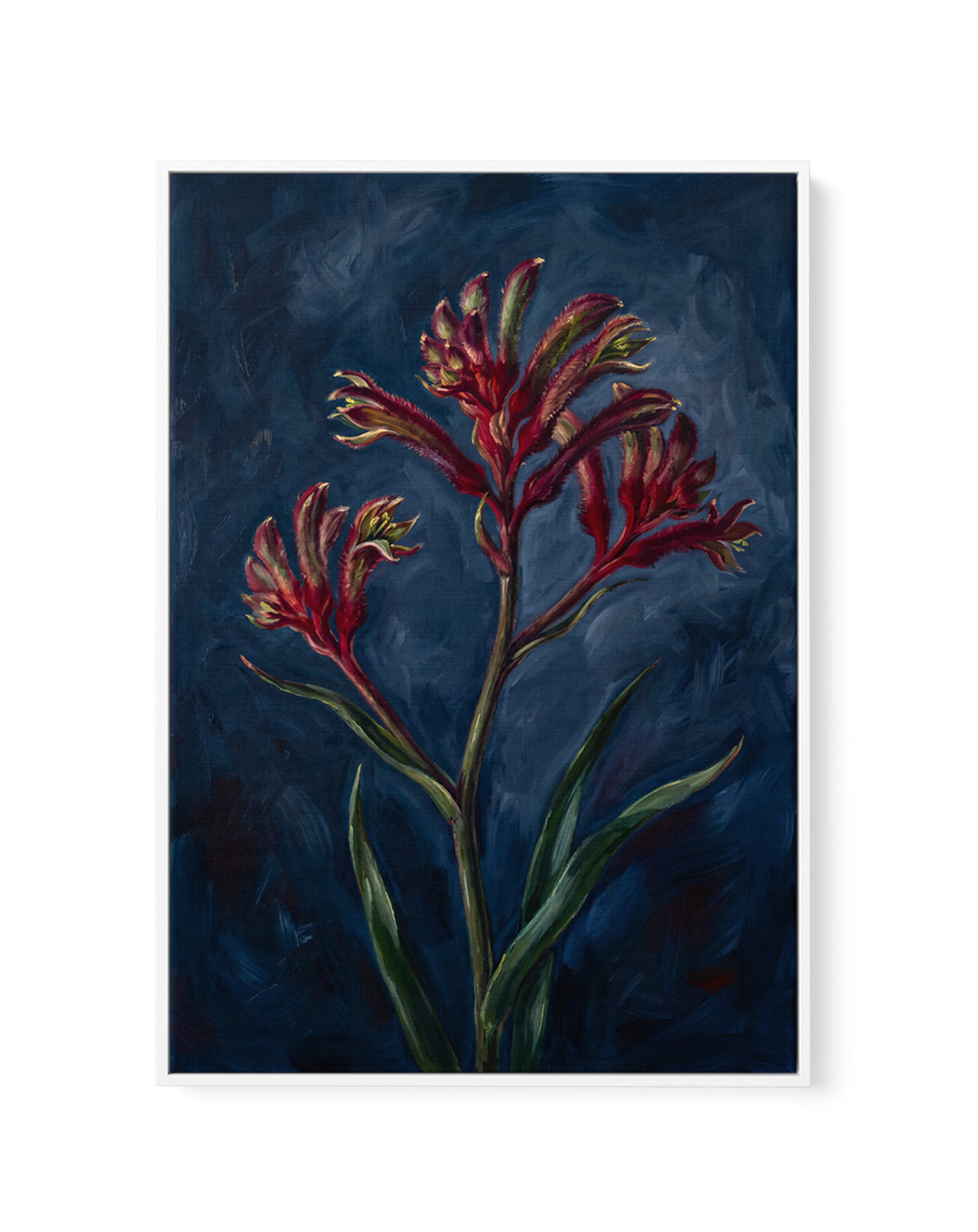 Kangaroo Paw I On Navy Botanicals Study | Framed Canvas Art Print
