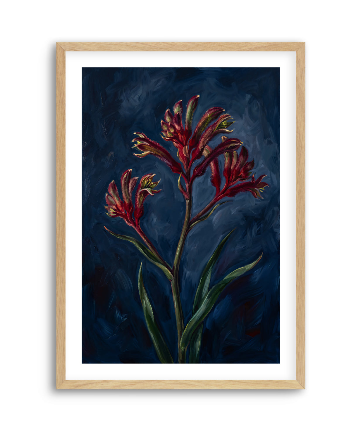 Kangaroo Paw I On Navy Botanicals Study | Art Print