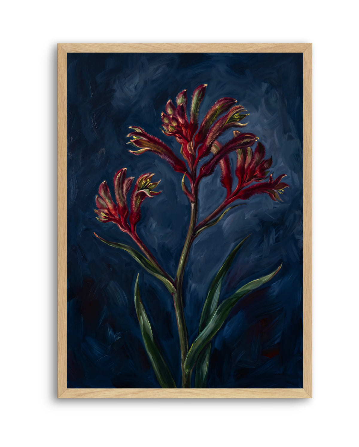 Kangaroo Paw I On Navy Botanicals Study | Art Print