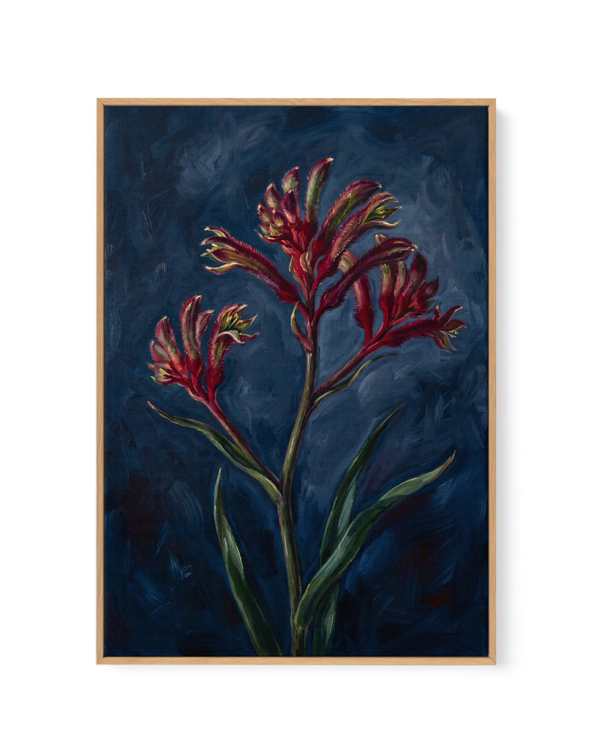 Kangaroo Paw I On Navy Botanicals Study | Framed Canvas Art Print
