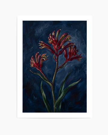 Kangaroo Paw I On Navy Botanicals Study | Art Print