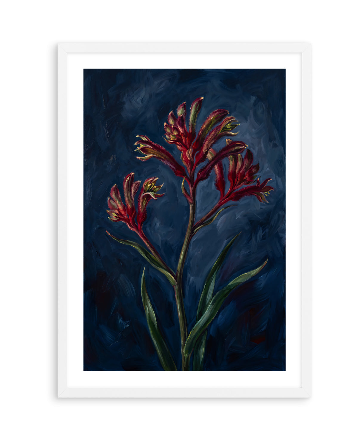 Kangaroo Paw I On Navy Botanicals Study | Art Print