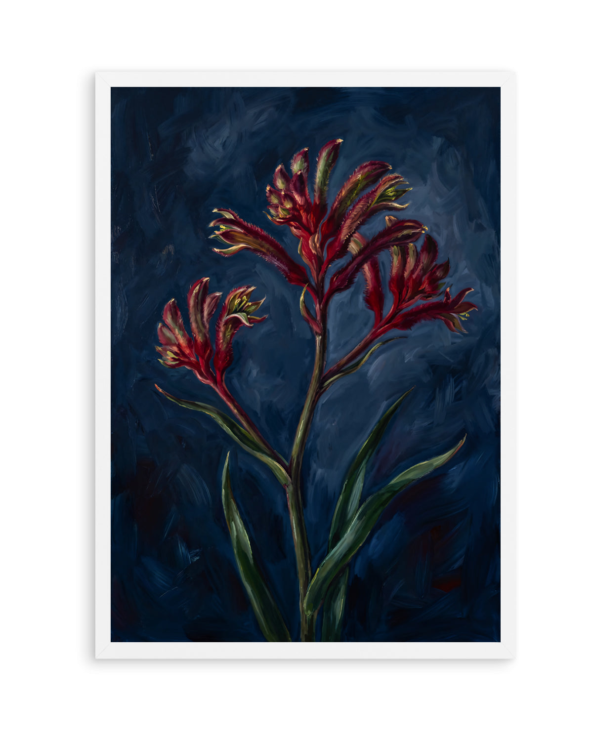 Kangaroo Paw I On Navy Botanicals Study | Art Print