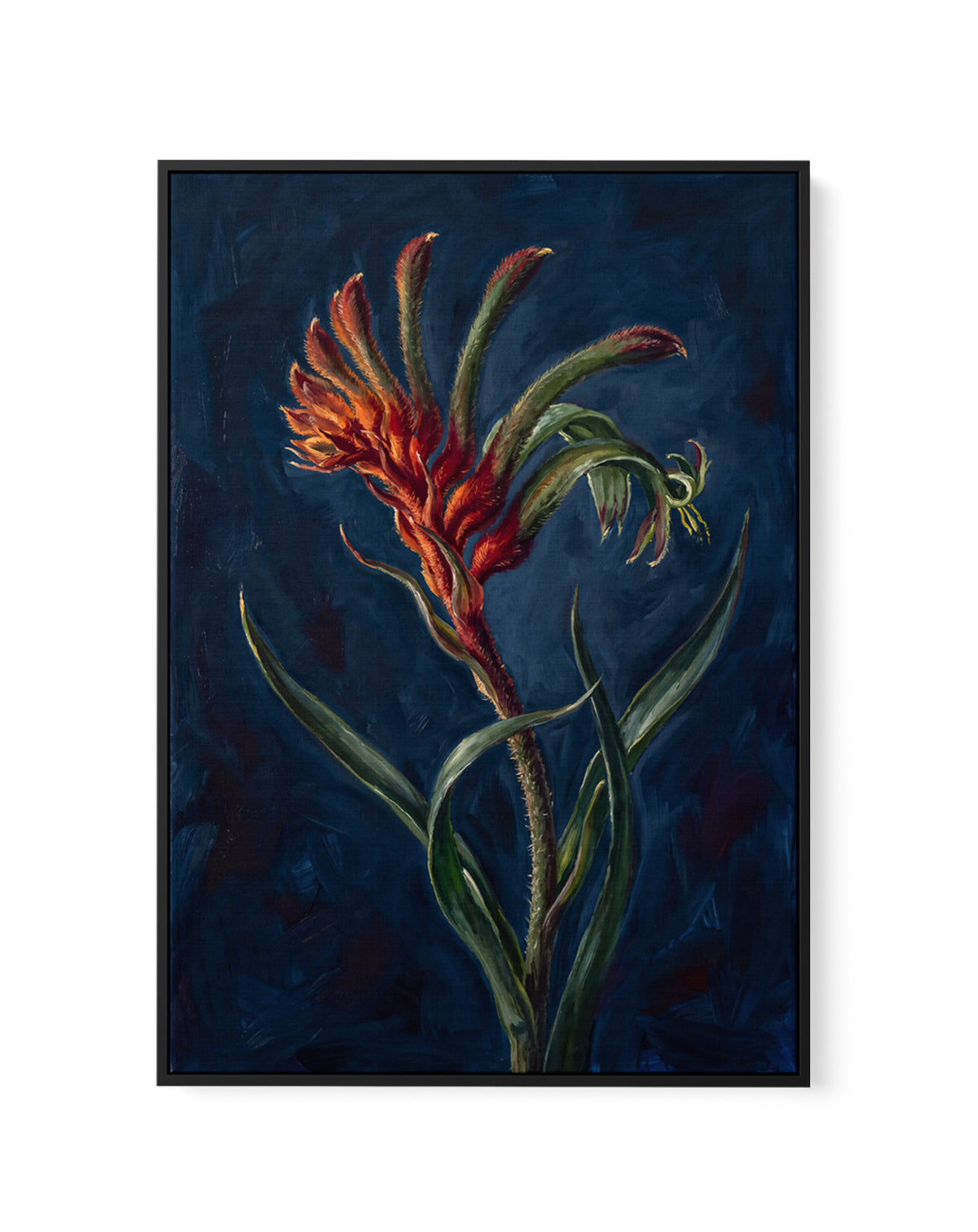 Kangaroo Paw II On Navy Botanicals Study | Framed Canvas Art Print