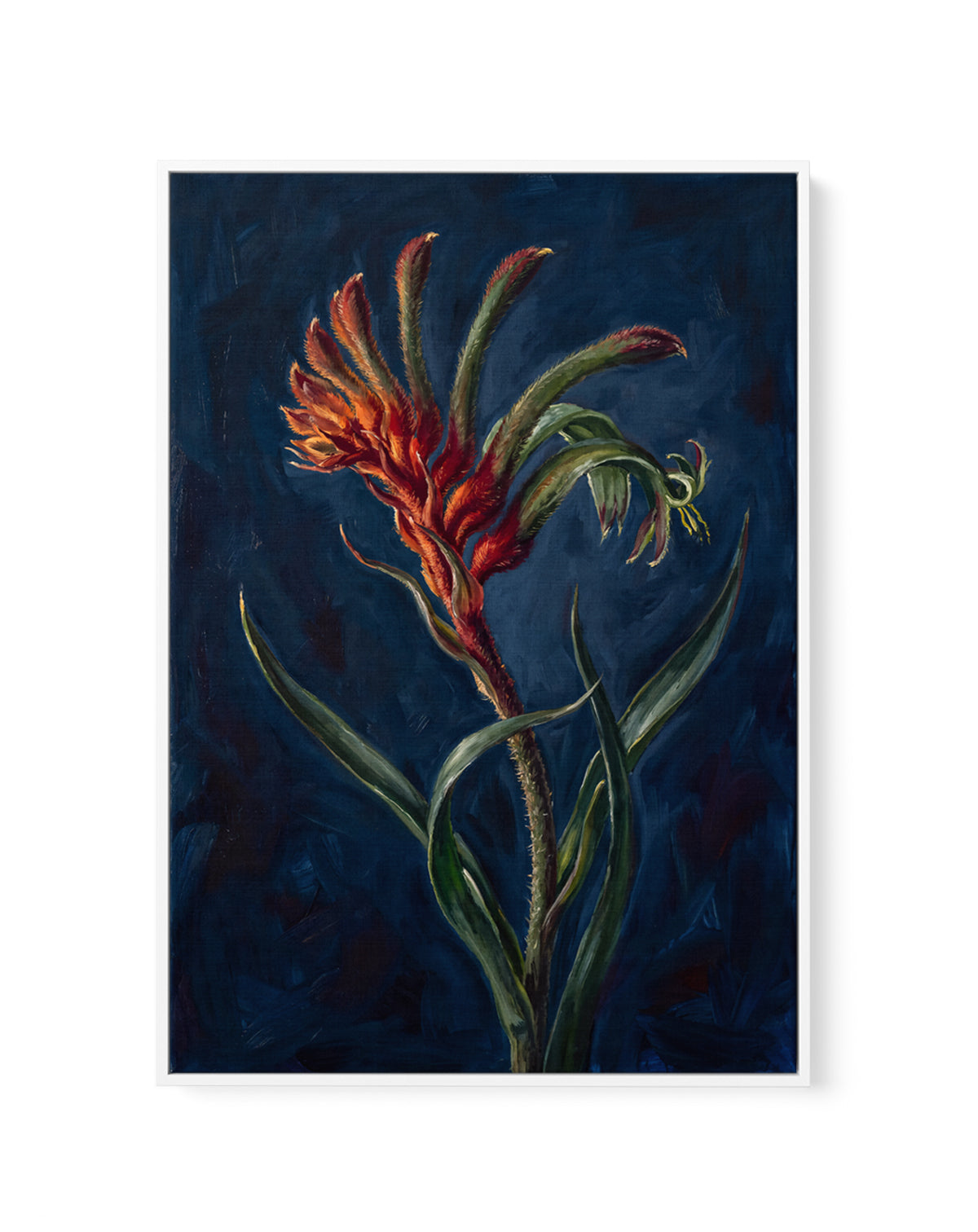 Kangaroo Paw II On Navy Botanicals Study | Framed Canvas Art Print