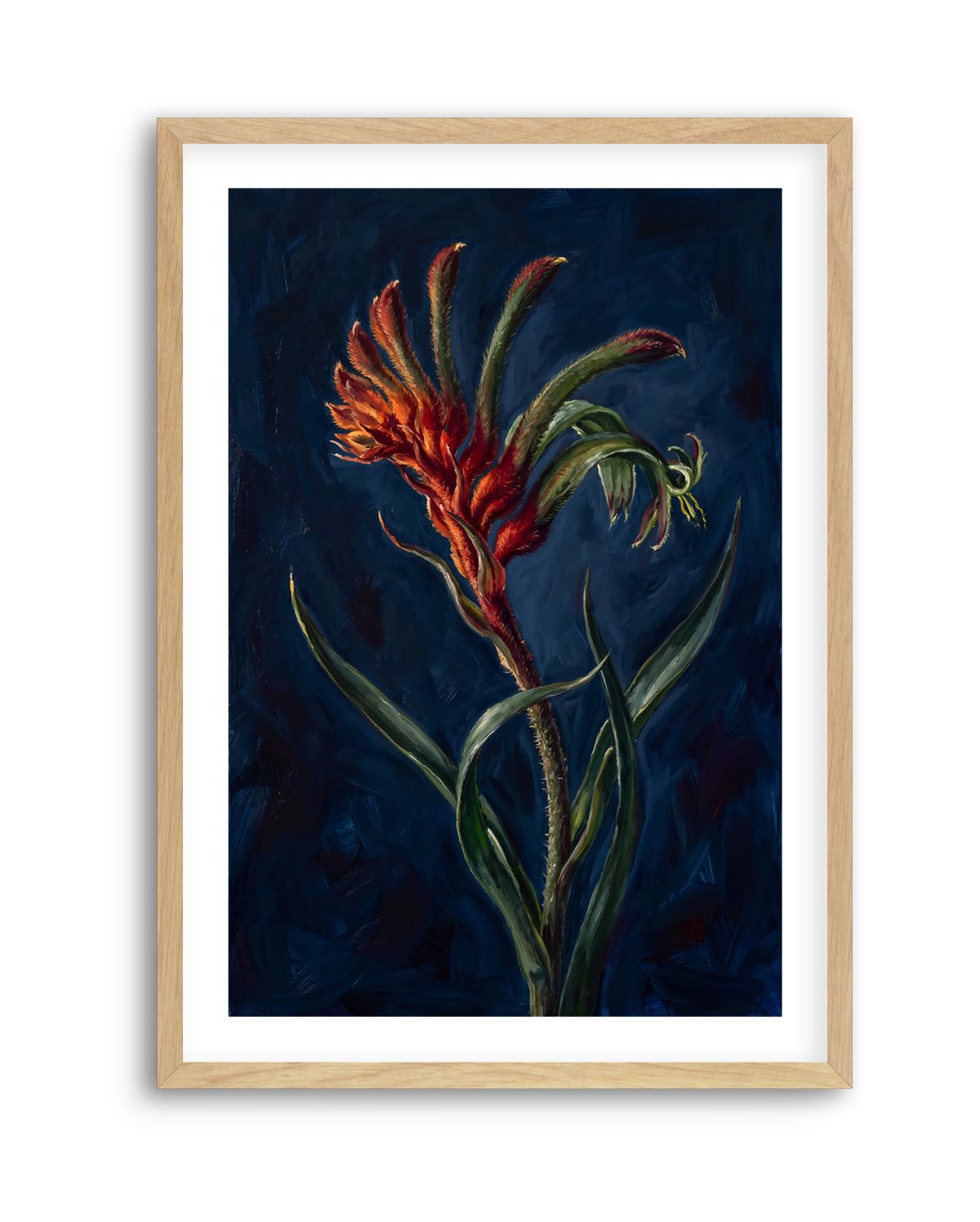 Kangaroo Paw II On Navy Botanicals Study | Art Print