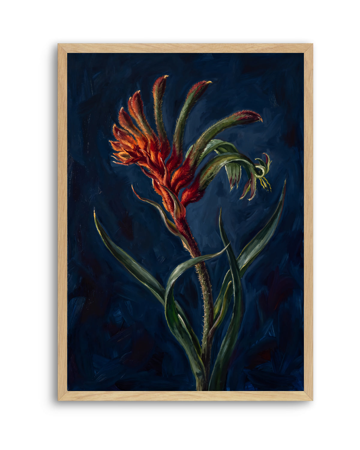 Kangaroo Paw II On Navy Botanicals Study | Art Print