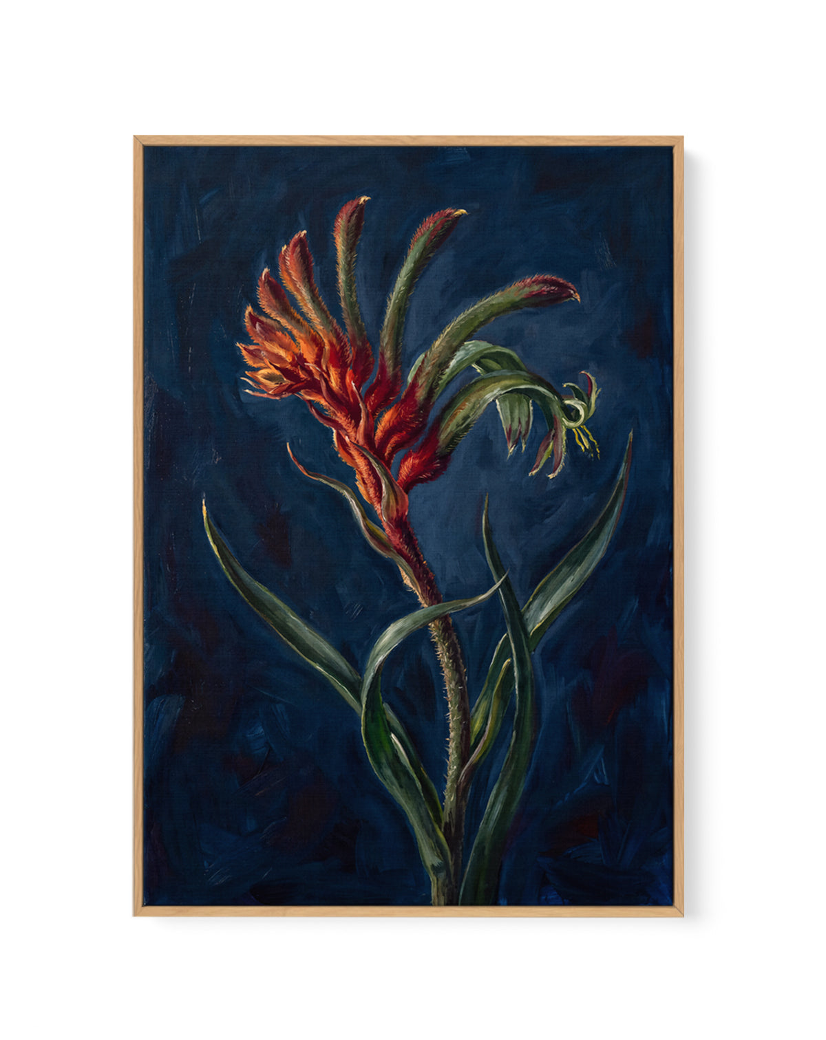 Kangaroo Paw II On Navy Botanicals Study | Framed Canvas Art Print