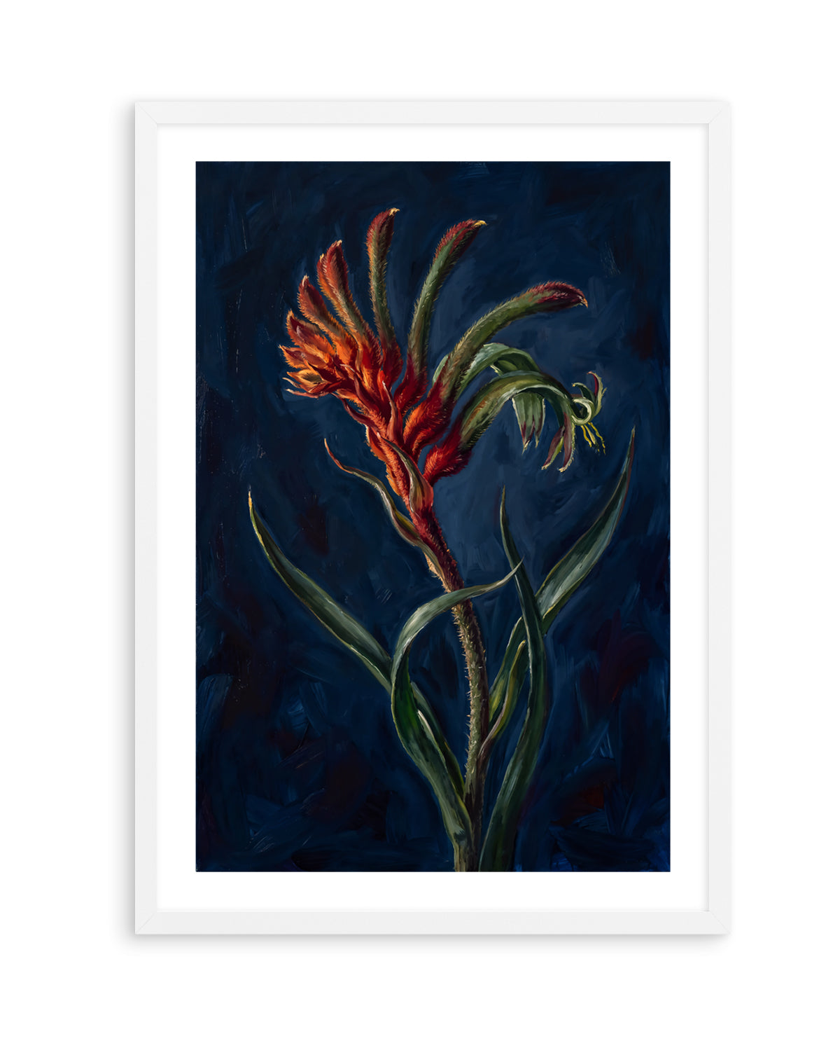 Kangaroo Paw II On Navy Botanicals Study | Art Print