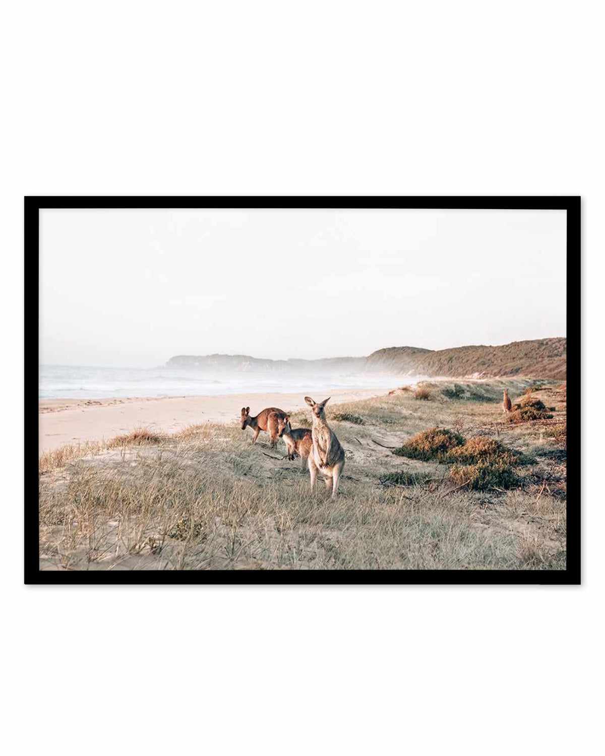 Kangaroos at Dusk Art Print