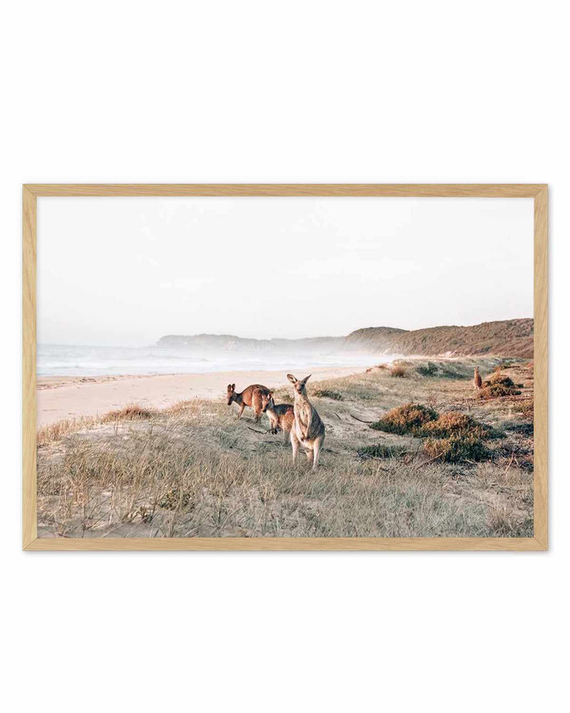 Kangaroos at Dusk Art Print