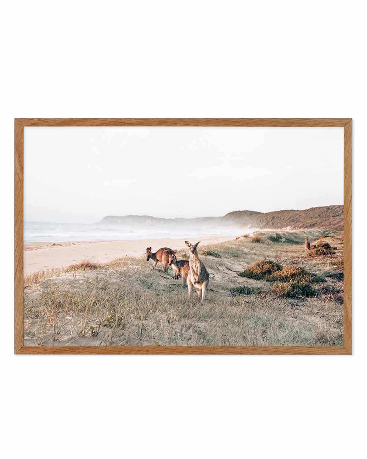 Kangaroos at Dusk Art Print