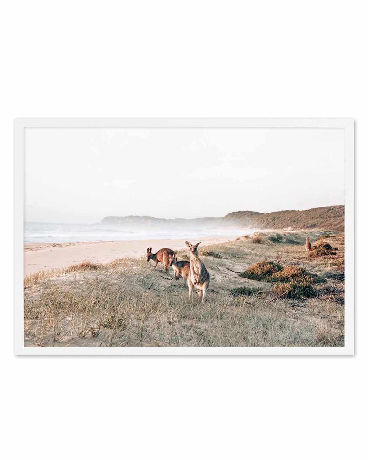 Kangaroos at Dusk Art Print