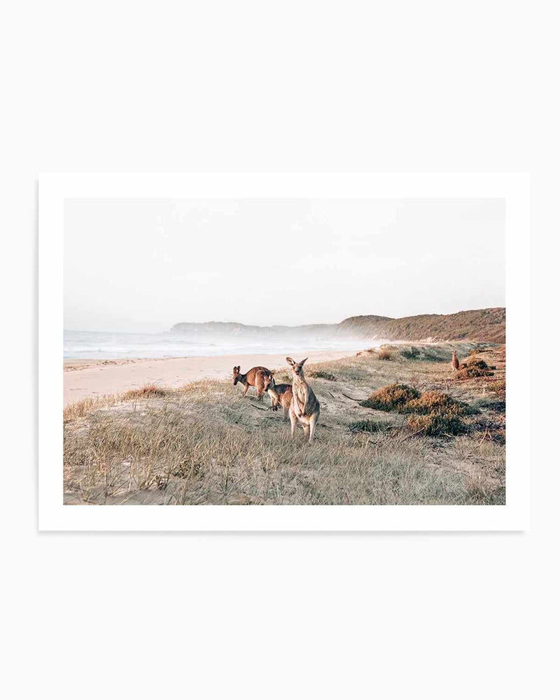 Kangaroos at Dusk Art Print