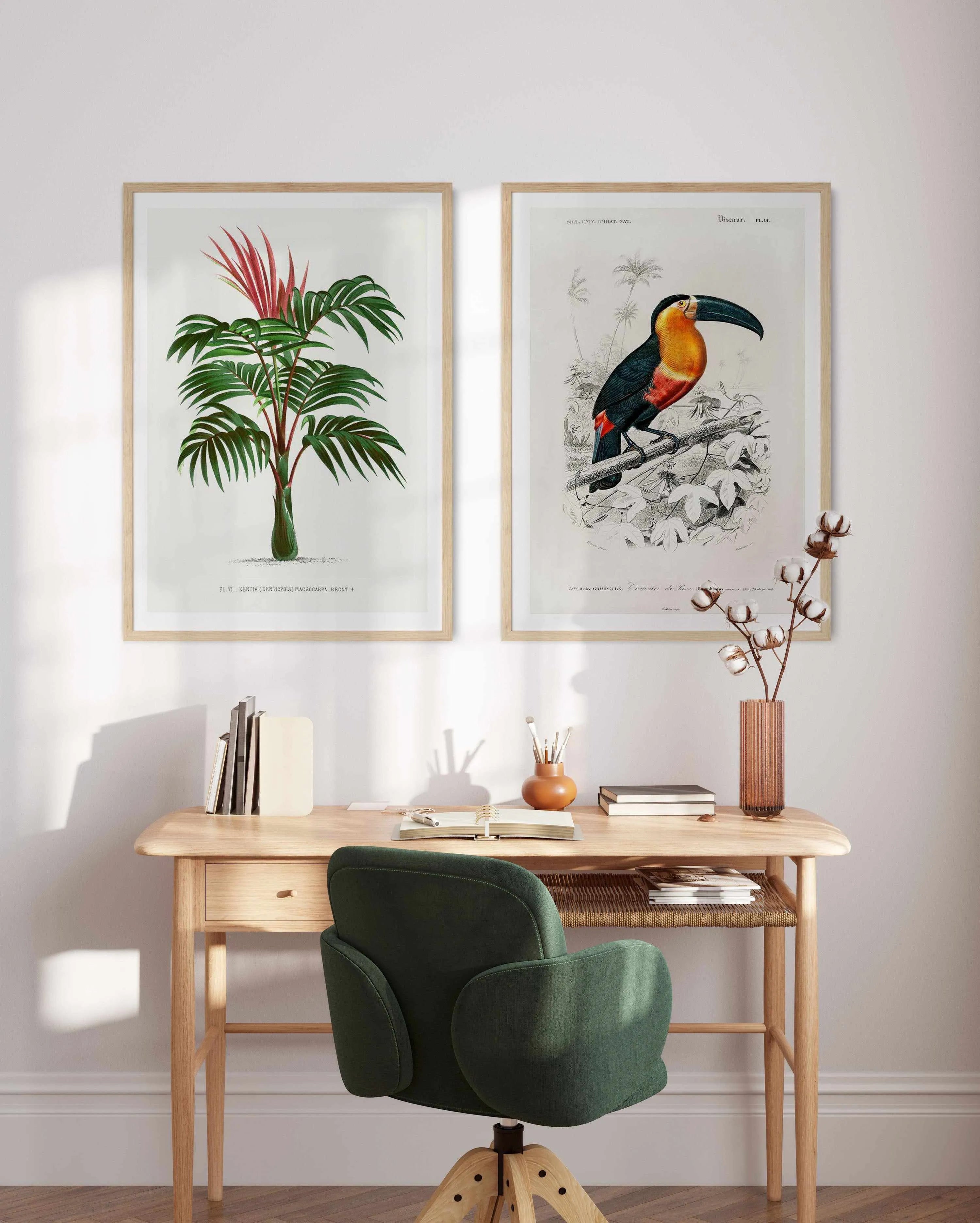 Toucan Vintage Illustration Art Print from Olive et Oriel where you can shop wallpaper and artworks online