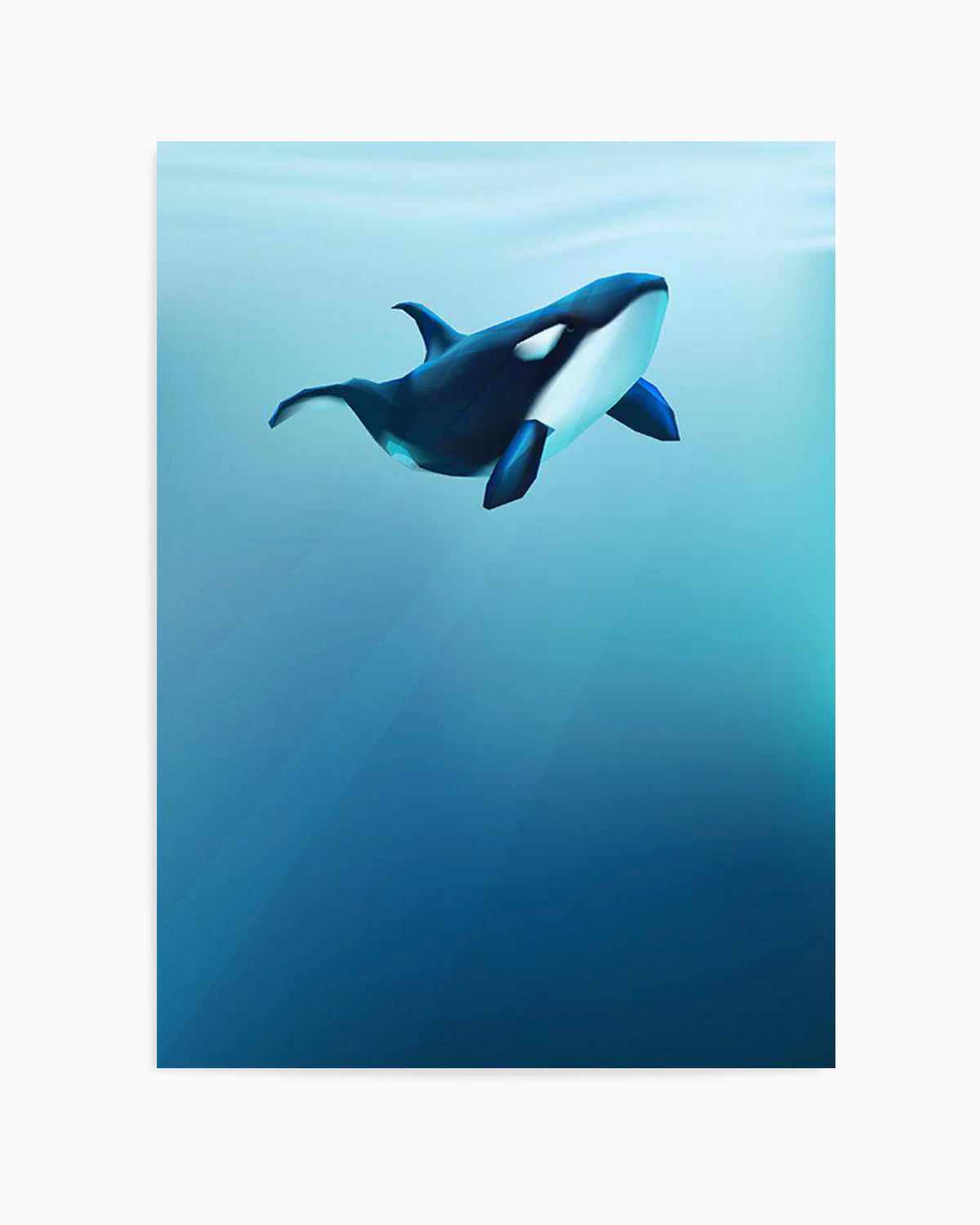 Killer | Graphic Whales Collection Art Print