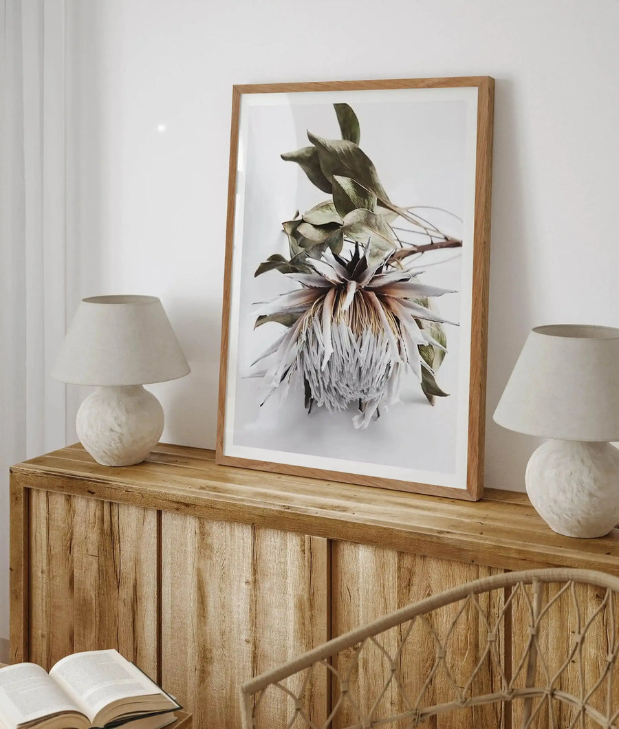 Large framed art print displayed on a rustic wooden sideboard in a bright living room. The print features a dried King Protea flower in muted white, brown, and green tones against a clean white background, with a natural wood frame and white border. Two cream-colored lamps with textured bases sit on either side of the print, and a woven chair and open book are visible in the foreground.