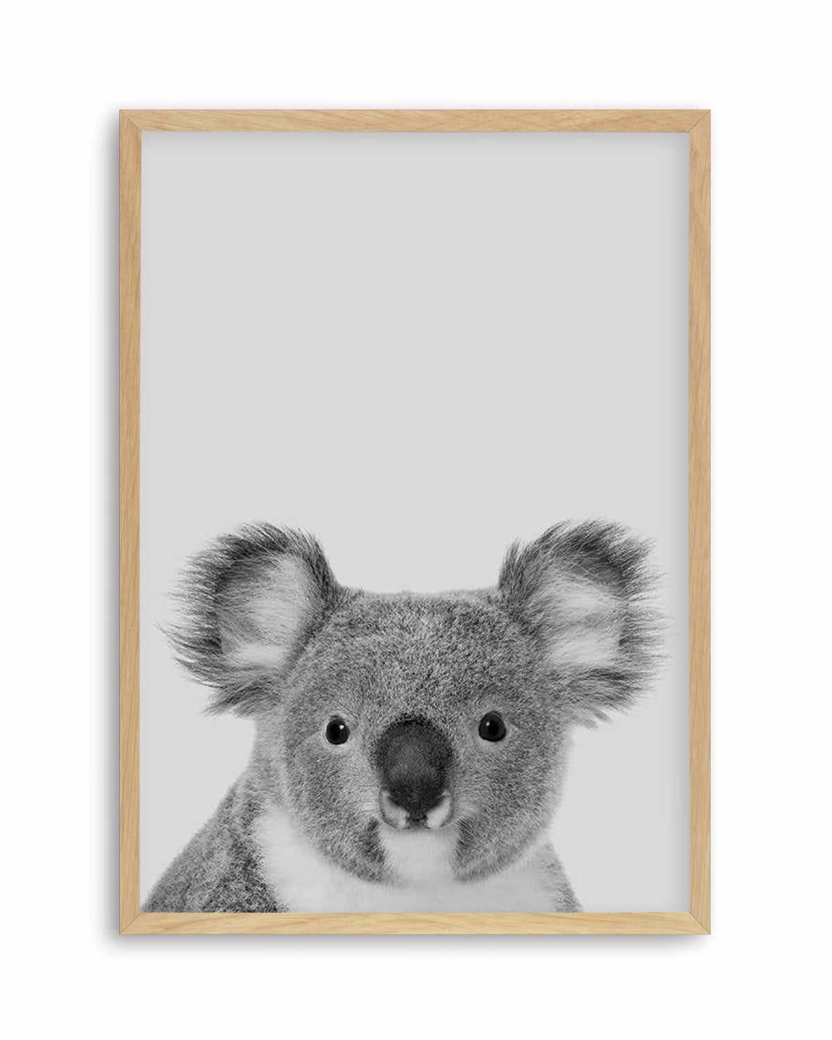 Koala | Grey Art Print