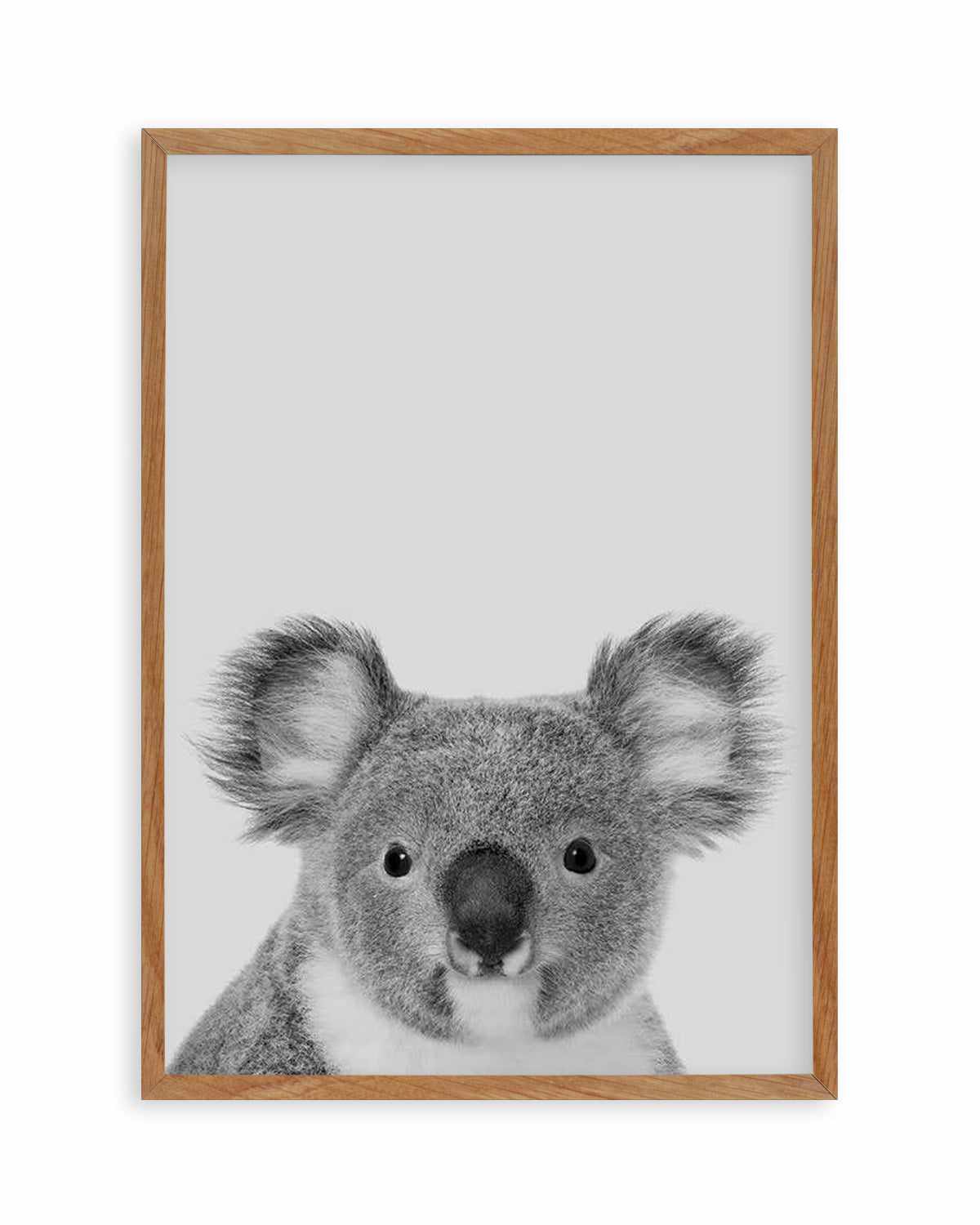 Koala | Grey Art Print