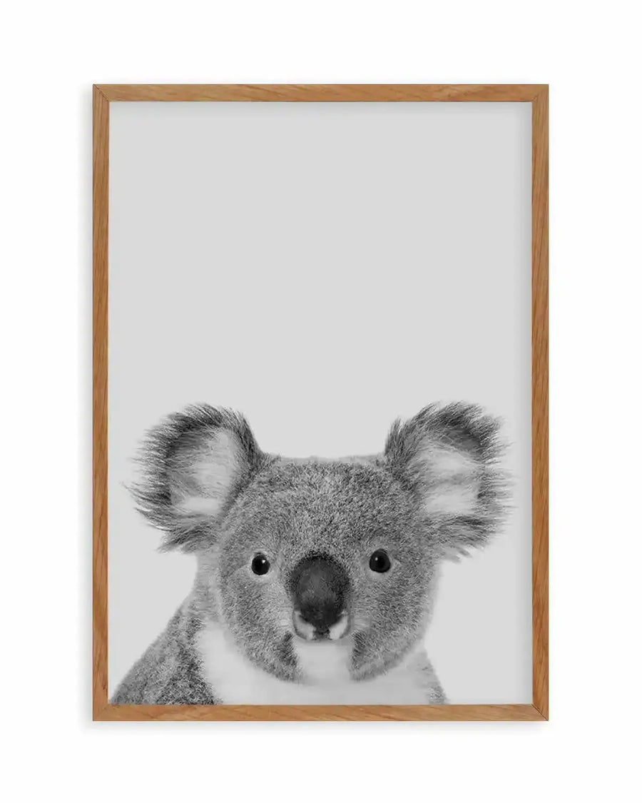 Koala | Grey Art Print from Olive et Oriel where you can shop wallpaper and artworks online