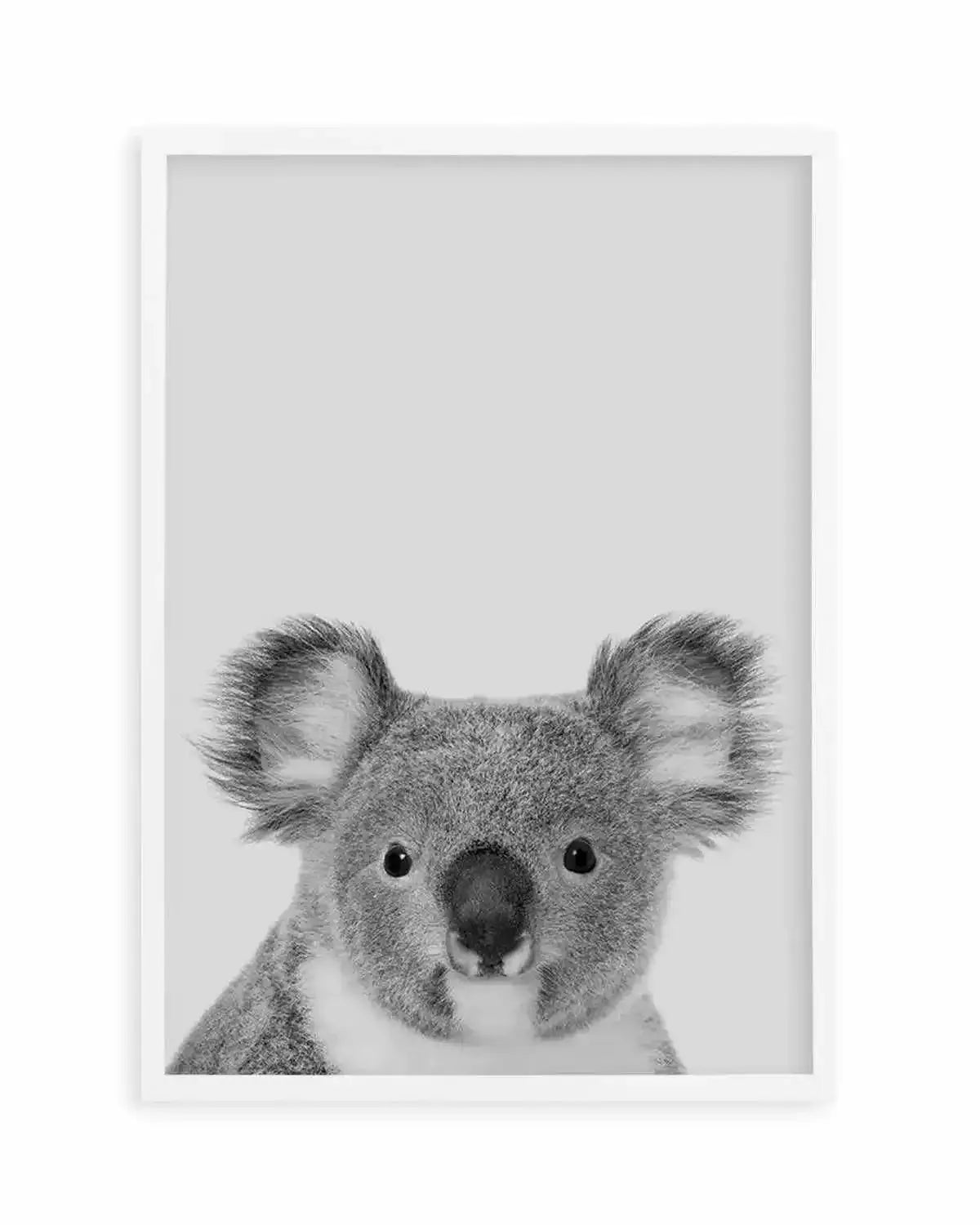 Koala | Grey Art Print from Olive et Oriel where you can shop wallpaper and artworks online