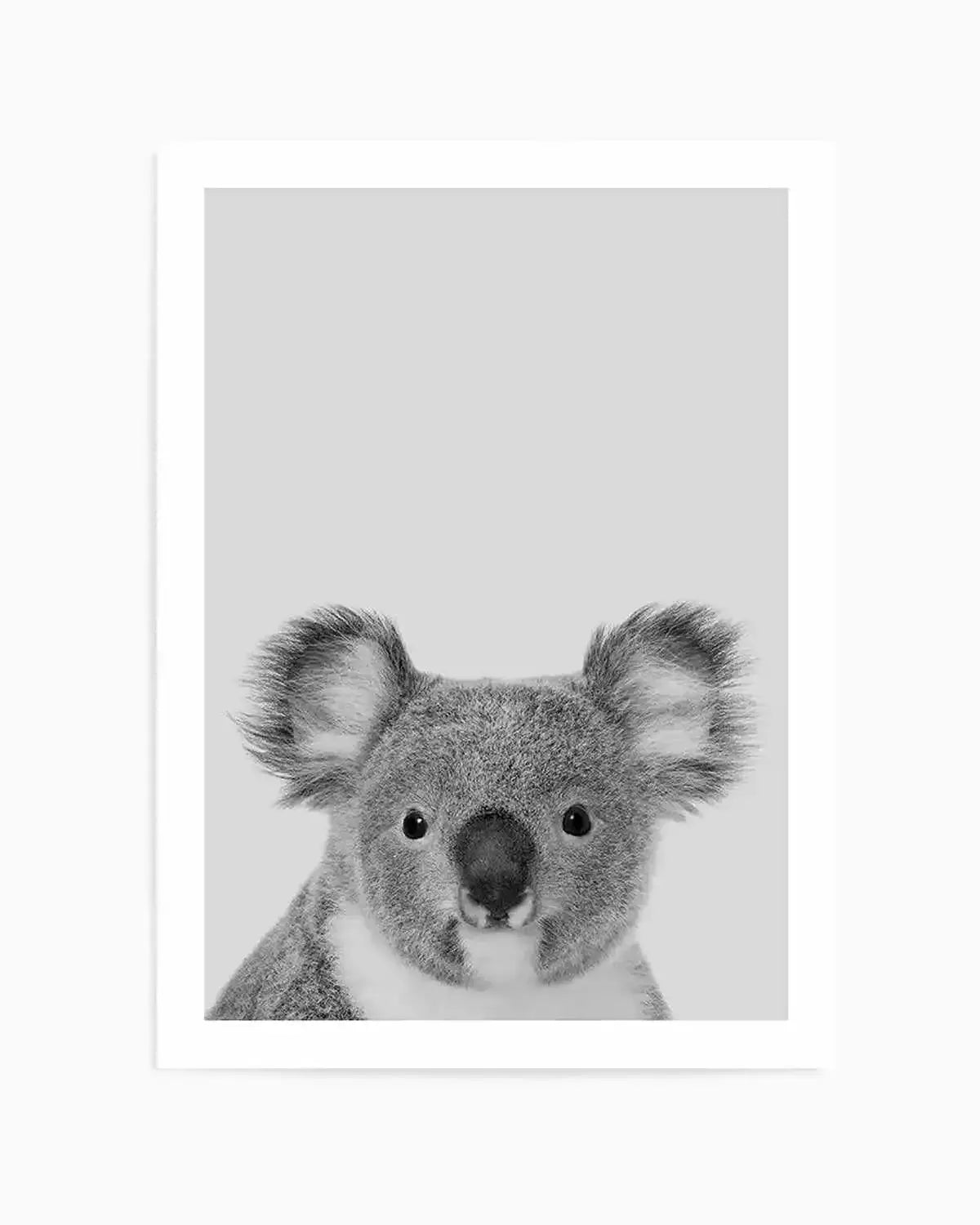 Koala | Grey Art Print from Olive et Oriel where you can shop wallpaper and artworks online
