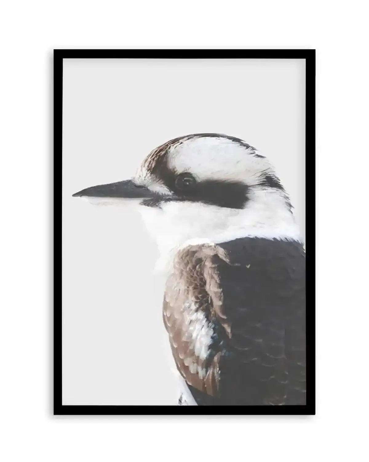 Kookaburra I Art Print from Olive et Oriel where you can shop wallpaper and artworks online