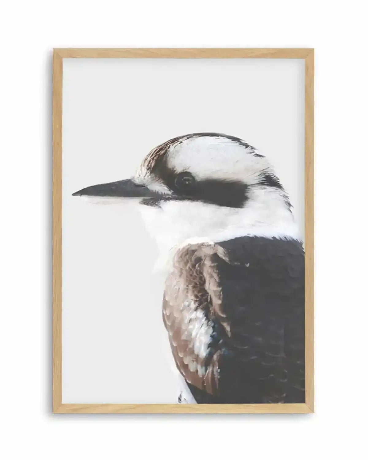 Kookaburra I Art Print from Olive et Oriel where you can shop wallpaper and artworks online