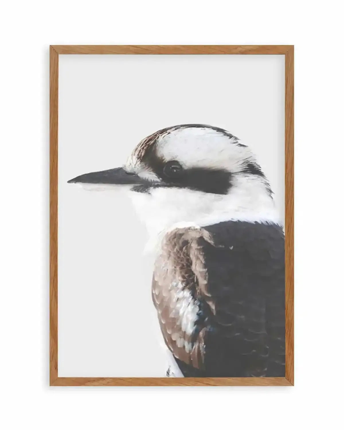 Kookaburra I Art Print from Olive et Oriel where you can shop wallpaper and artworks online