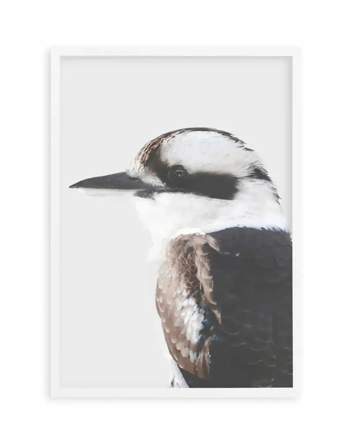Kookaburra I Art Print from Olive et Oriel where you can shop wallpaper and artworks online