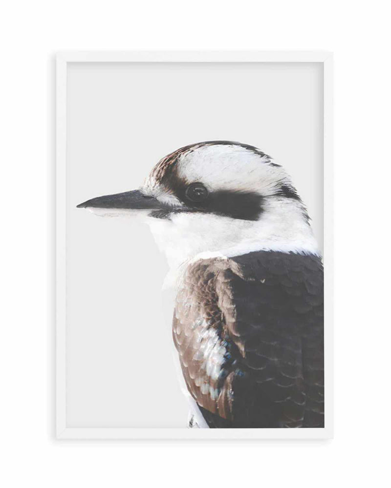 Kookaburra I Art Print