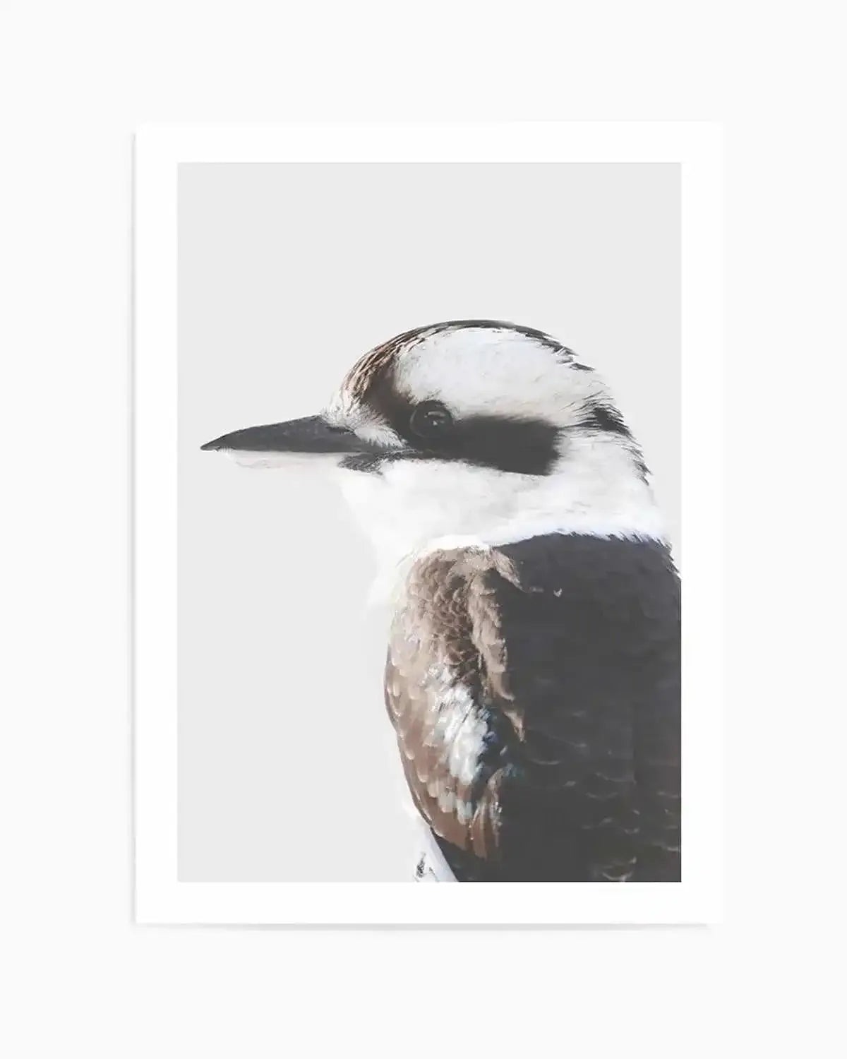 Kookaburra I Art Print from Olive et Oriel where you can shop wallpaper and artworks online