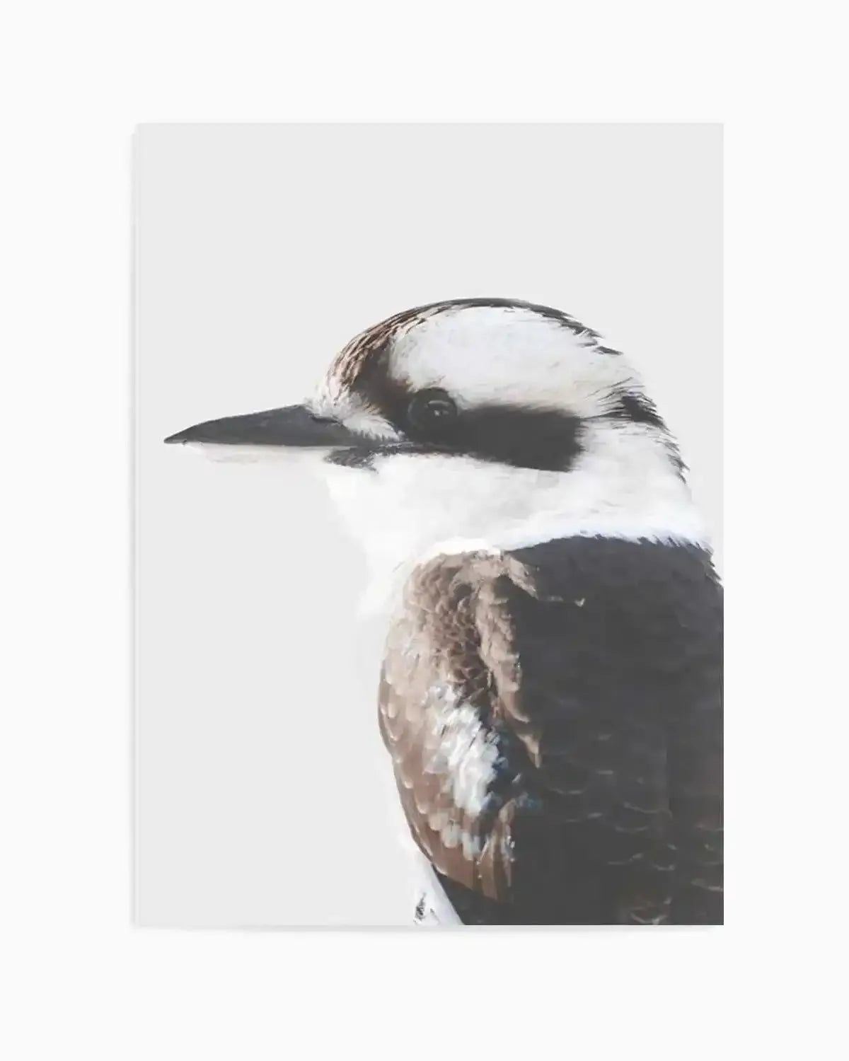 Kookaburra I Art Print from Olive et Oriel where you can shop wallpaper and artworks online