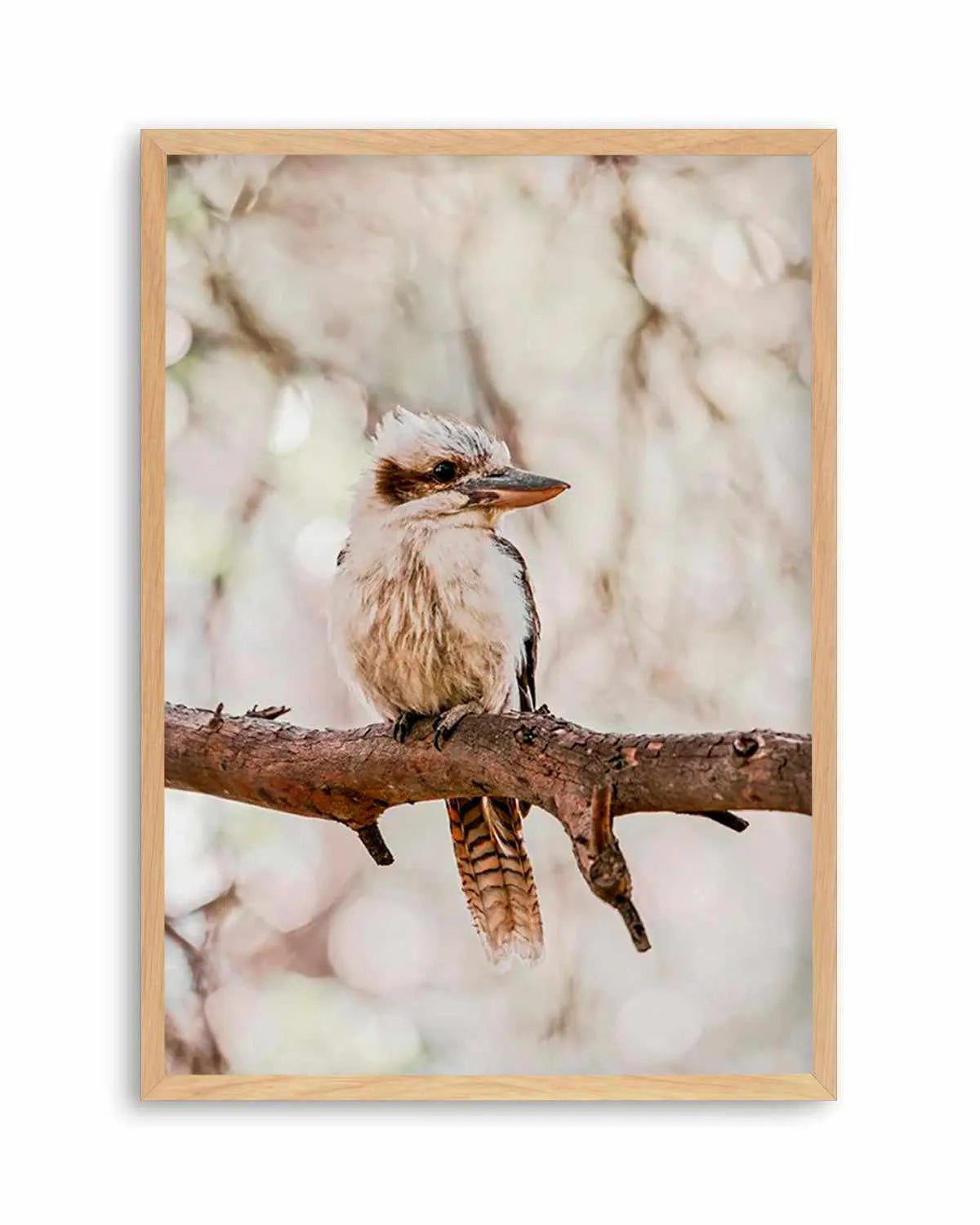 Kookaburras I Art Print from Olive et Oriel where you can shop wallpaper and artworks online