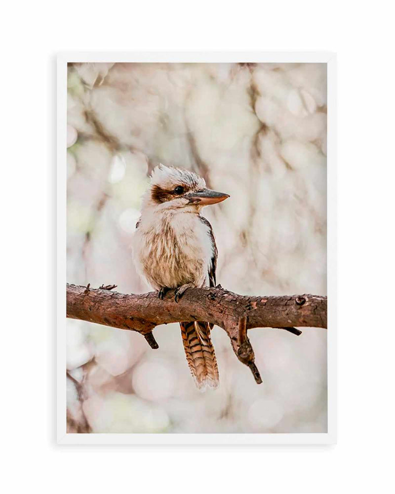 Kookaburras I Art Print