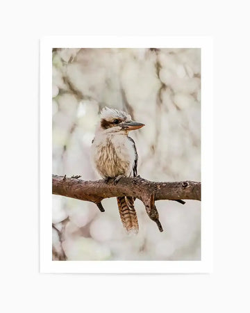 Kookaburras I Art Print from Olive et Oriel where you can shop wallpaper and artworks online