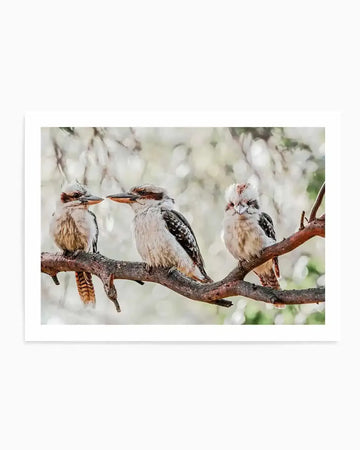 Kookaburras III Art Print from Olive et Oriel where you can shop wallpaper and artworks online