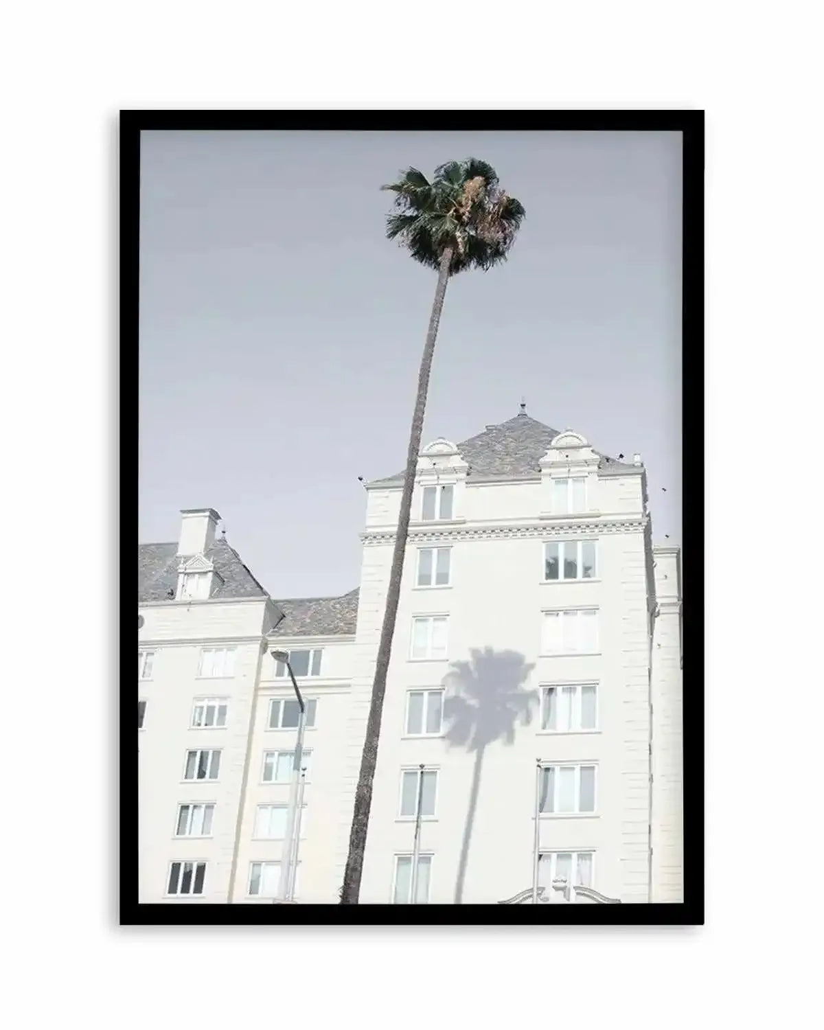 LA City Palm Art Print from Olive et Oriel where you can shop wallpaper and artworks online