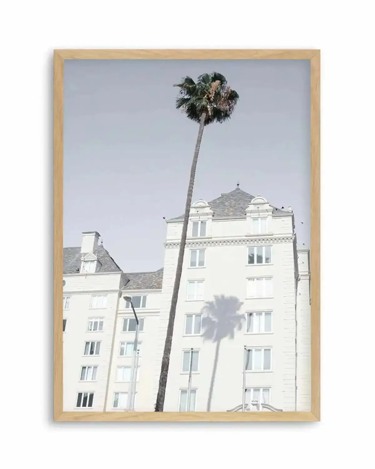 LA City Palm Art Print from Olive et Oriel where you can shop wallpaper and artworks online