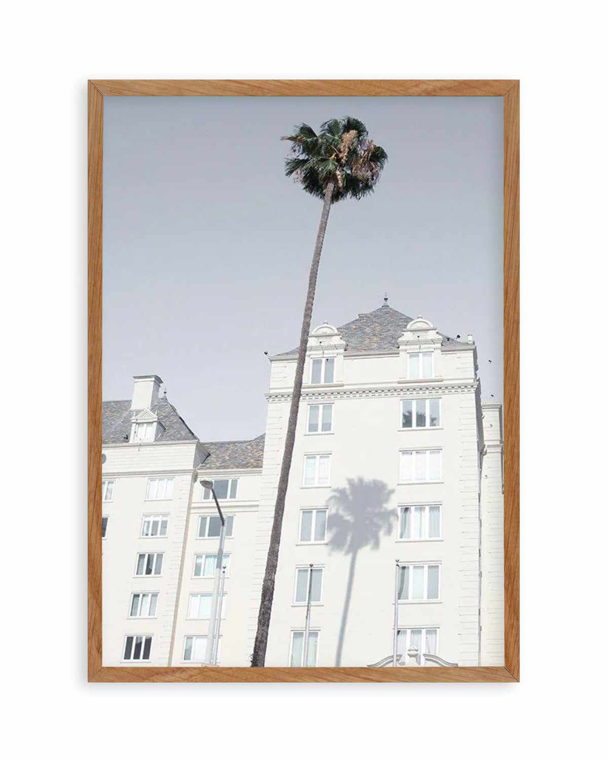 LA City Palm Art Print