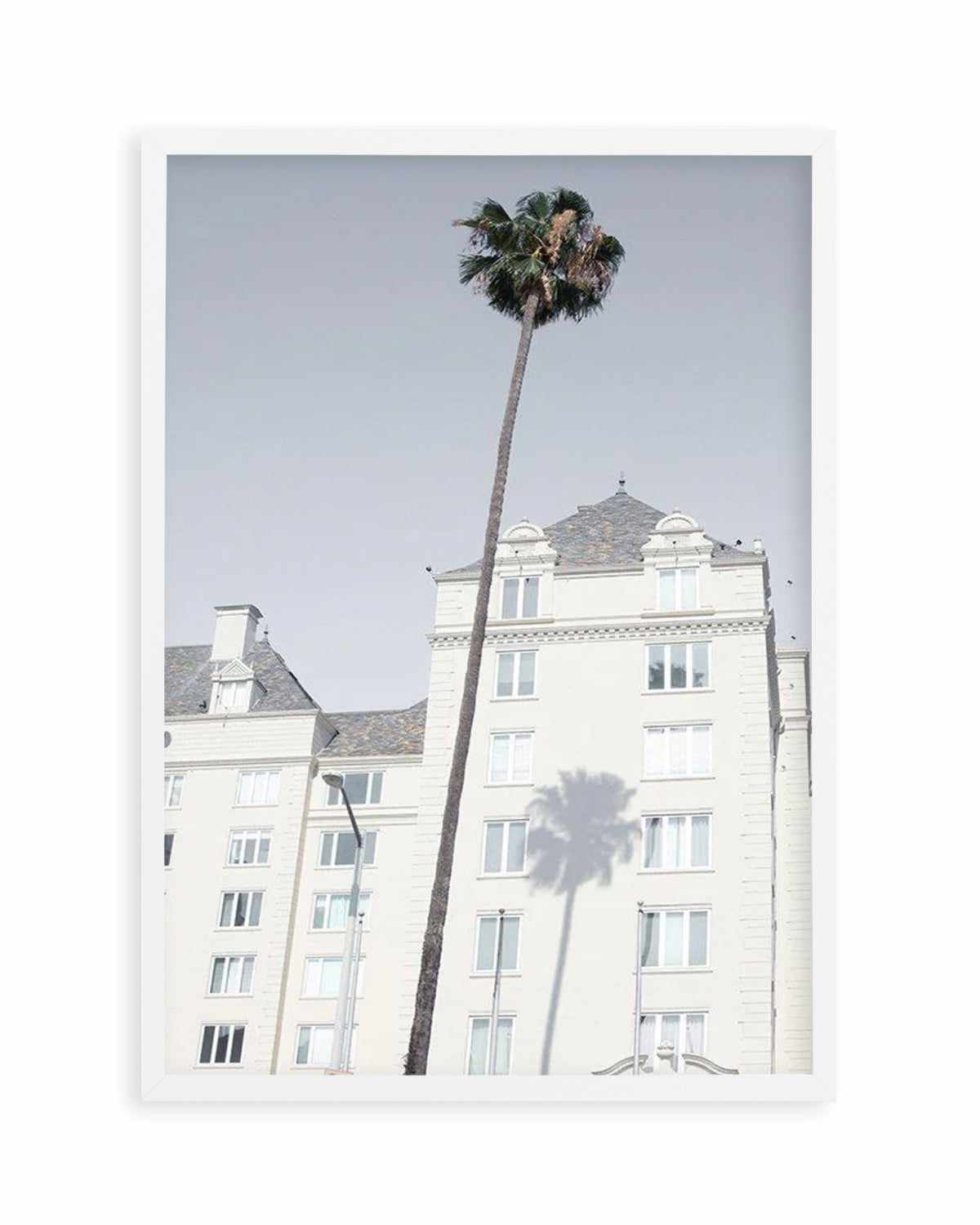 LA City Palm Art Print