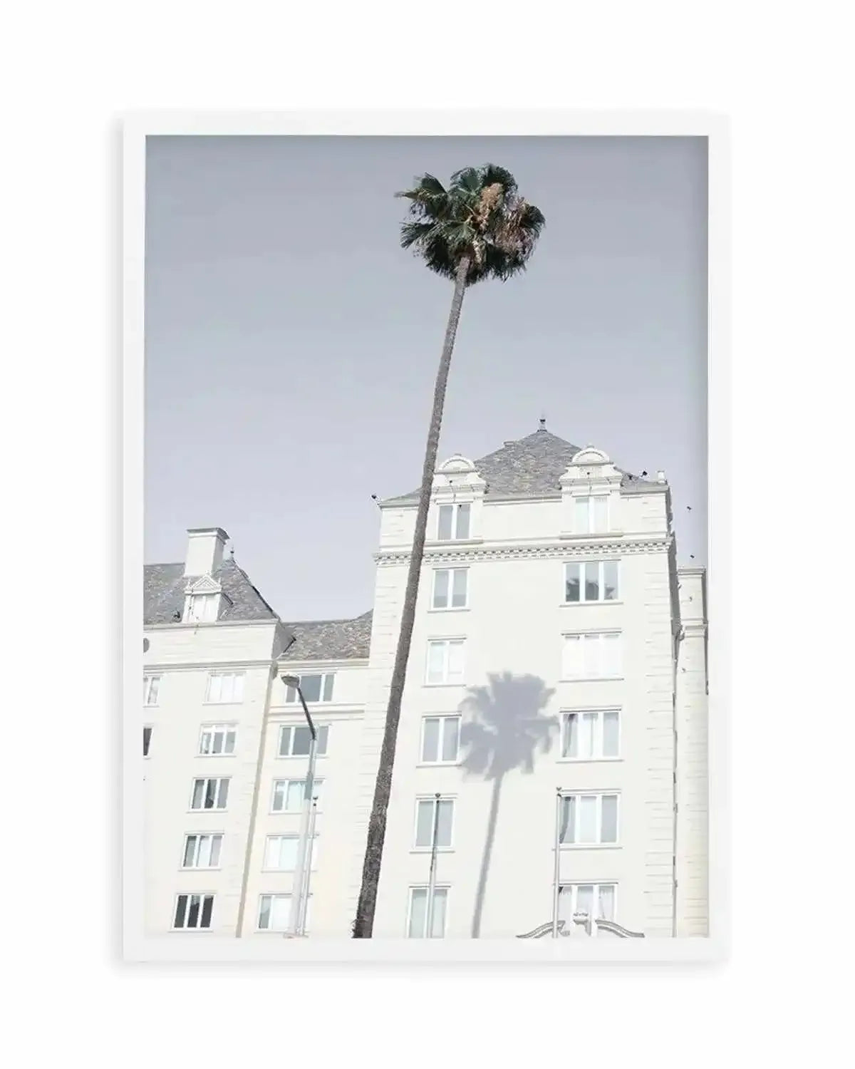 LA City Palm Art Print from Olive et Oriel where you can shop wallpaper and artworks online