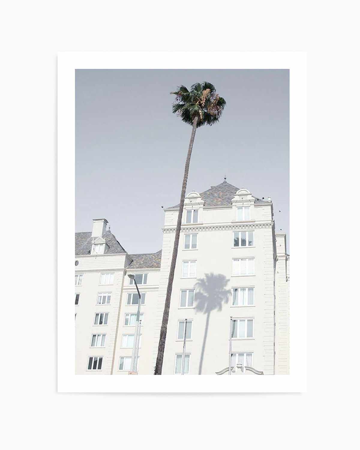 LA City Palm Art Print