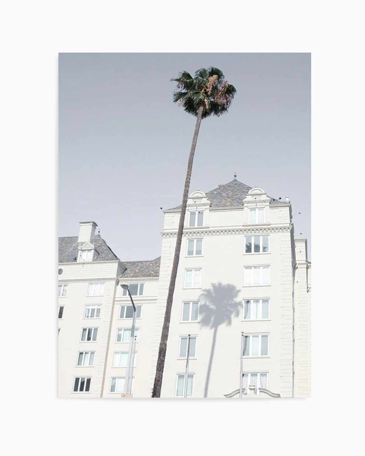 LA City Palm Art Print