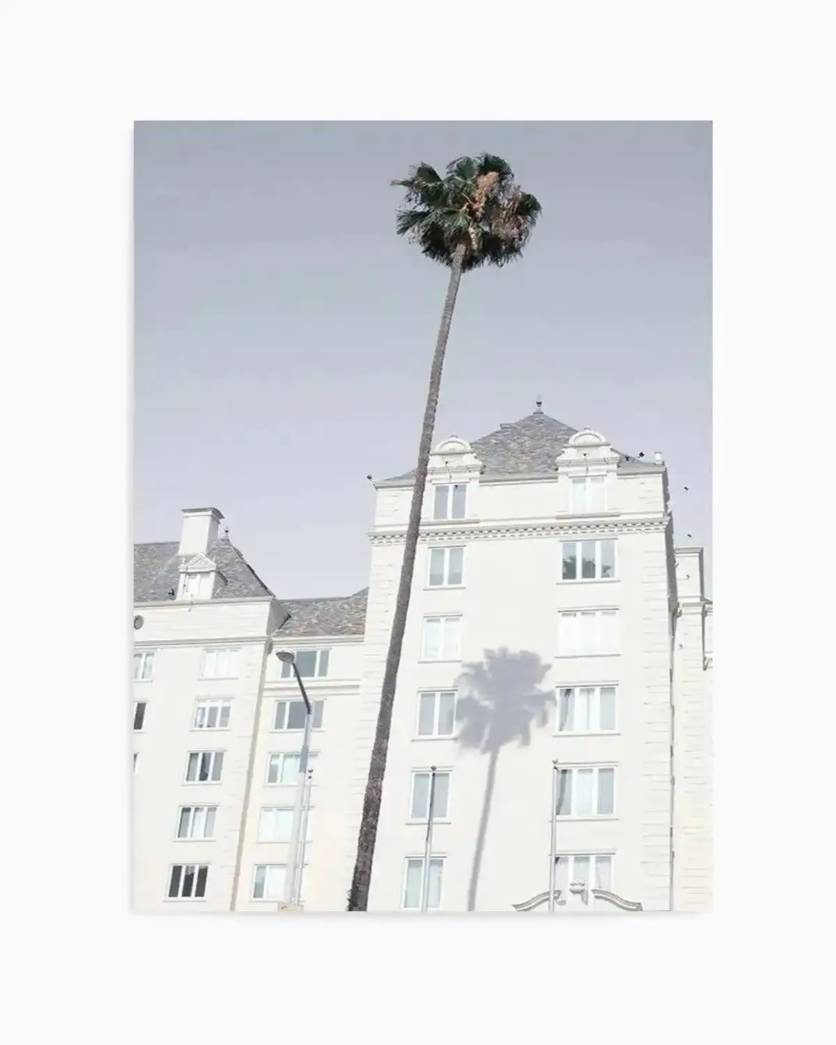 LA City Palm Art Print from Olive et Oriel where you can shop wallpaper and artworks online