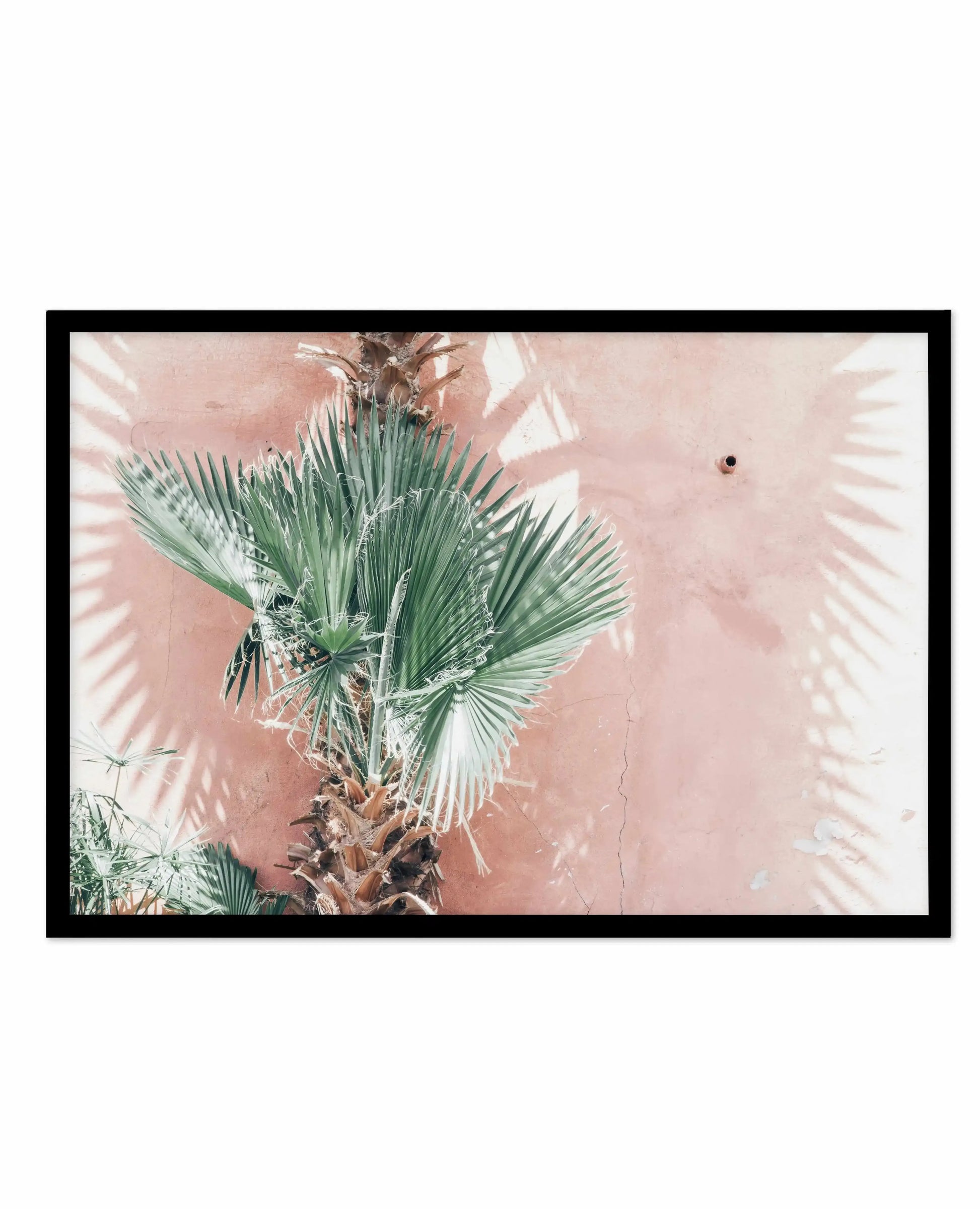 LA Palms | LS Art Print-PRINT-Olive et Oriel-Olive et Oriel-A5 | 5.8" x 8.3" | 14.8 x 21cm-Black-With White Border-Buy-Australian-Art-Prints-Online-with-Olive-et-Oriel-Your-Artwork-Specialists-Austrailia-Decorate-With-Coastal-Photo-Wall-Art-Prints-From-Our-Beach-House-Artwork-Collection-Fine-Poster-and-Framed-Artwork